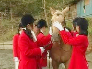 Fucking Nippon Porn in the Stable