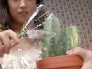 Japanese Pornstar JAV Gorgeous Flower Juice Explosion in XXX Nippon Thai Toy